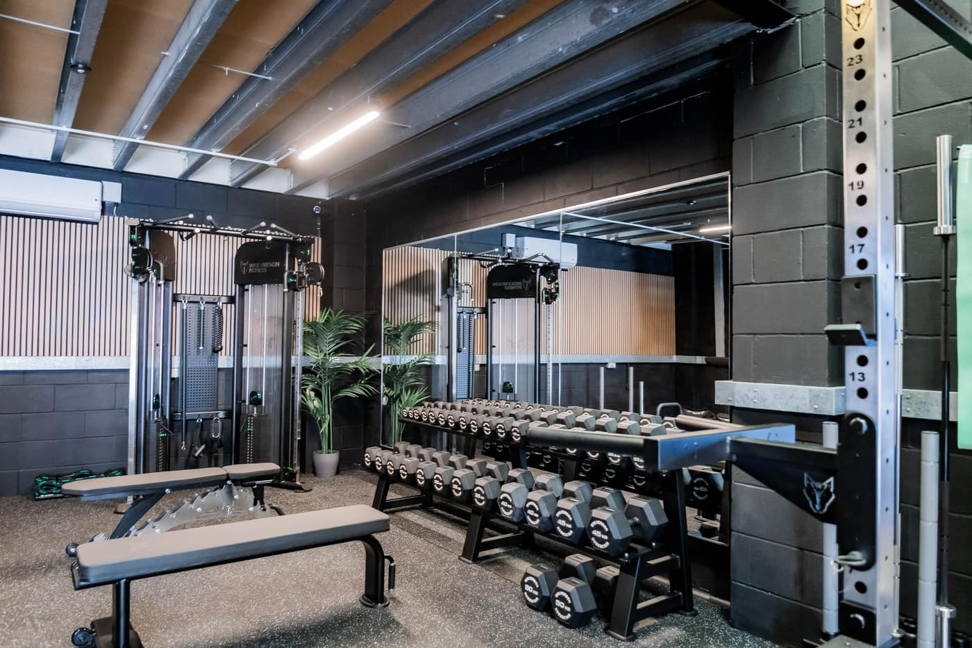 Effortless Gym Poole functional training zone with dumbbell racks, cable machine and mirrors